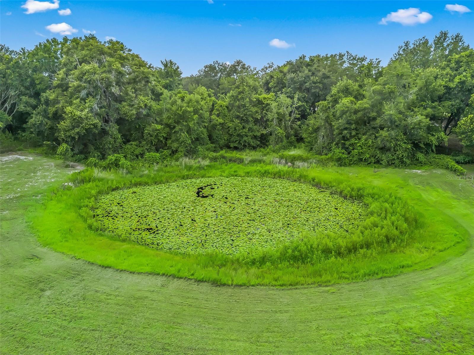 COUNTRYSIDE LAKES - Residential
