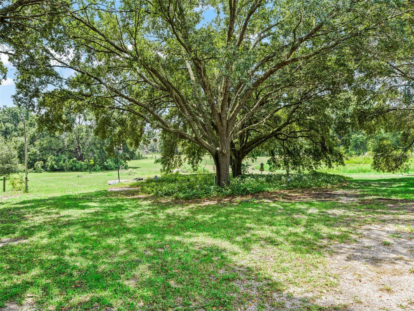 COUNTRYSIDE LAKES - Residential