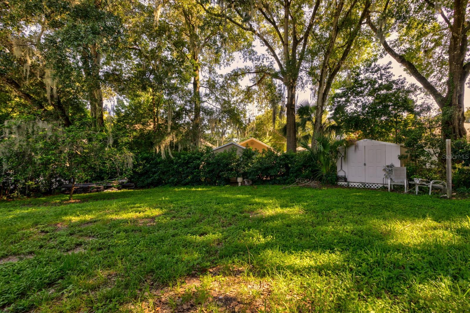 MOUNT DORA DICKERMAN SUB - Residential Lease