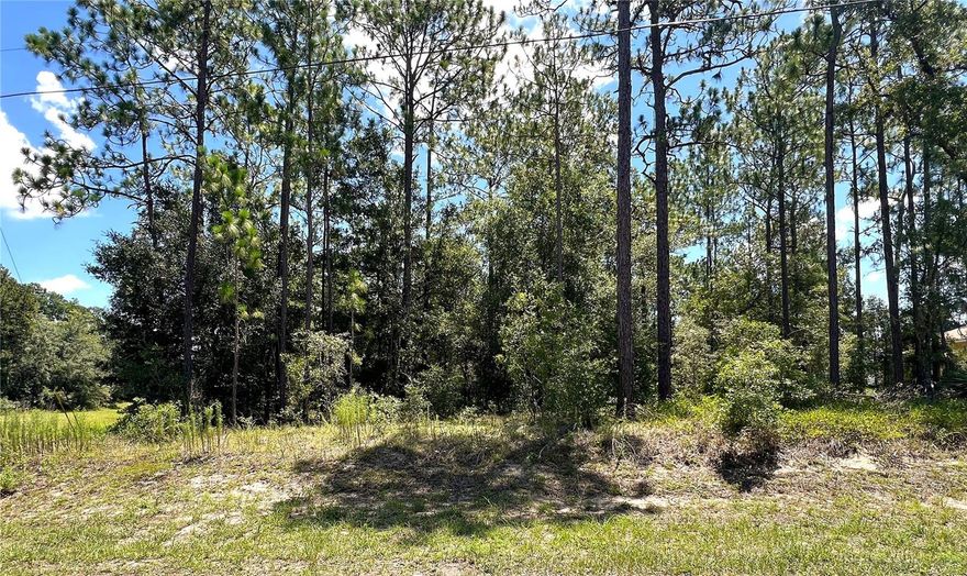 Available Now!!--1.09 Acres New Construction Build Site Joined by Huge Greenbelt/DRA Is Located in "The Forest Community" of The Beautiful Village of Rainbow Springs In Dunnellon, FL. This Magnificent Piece of Paradise Is Perfect for Your New Florida Dream Home -Or- Purchase & Hold. This Beautiful 1.09 Acre Future Homesite is Elevated  and Offers Everything At Your Fingertips But Tucked Away For Privacy and Serenity! It's Just Minutes To Dunnellon's Historic Town Square Built Around The World Famous Rainbow and Withlacoochee Rivers for Great Waterfront Dining and Shopping + Award Winning Rainbow Springs State Park! Convenient 20-30 Minute Circle to Ocala, Inverness, Crystal River, Inglis & Williston for Major Shopping and Dining + More...Just a Beautiful Short Ride Out to The New World Equestrian Center Located Between Dunnellon & Ocala. Enjoy The Rainbow Springs Residents Park & Beach Located Right on The Historic Rainbow River + Rainbow Springs Community Center w/ Numerous Outdoor/Indoor Activities & Superb Dining at Cheers Restaurant with Live Entertainment. Don't Miss This Magnificent New Construction Home Site Available Now In The Amazing Forest Community of Rainbow Springs!!!--It's The Natural Place To Call Home  Where The  Deer and The Wild Turkeys Roam!!