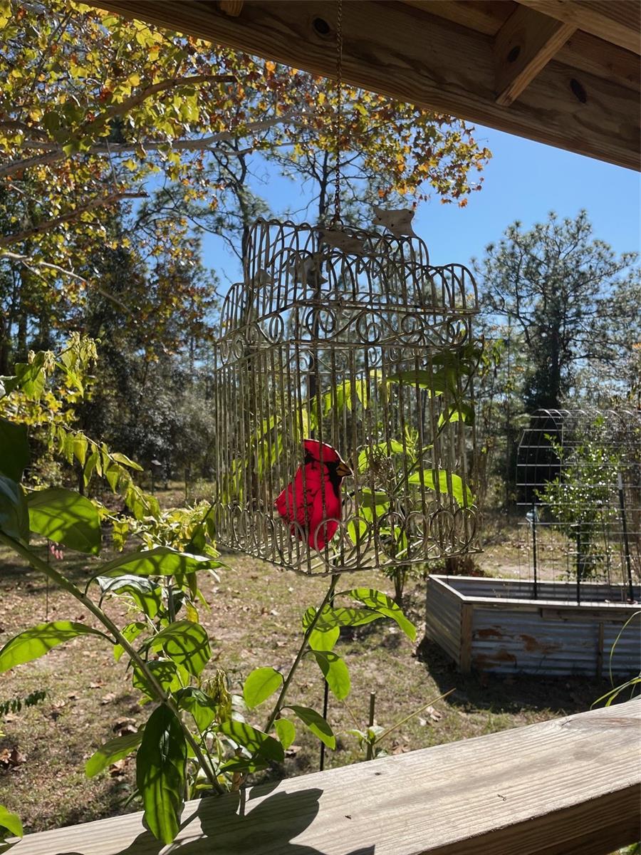 RAINBOW LAKES ESTATES - Residential