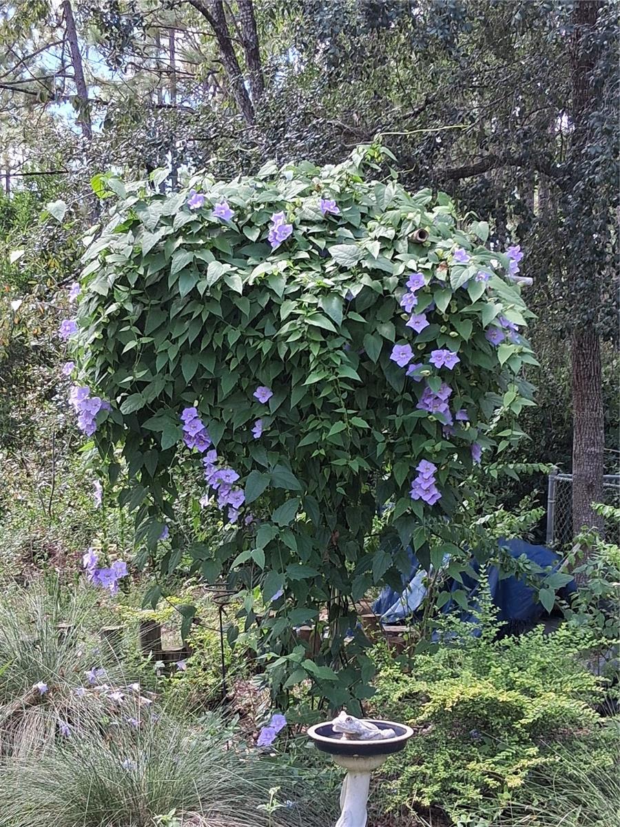 RAINBOW LAKES ESTATES - Residential