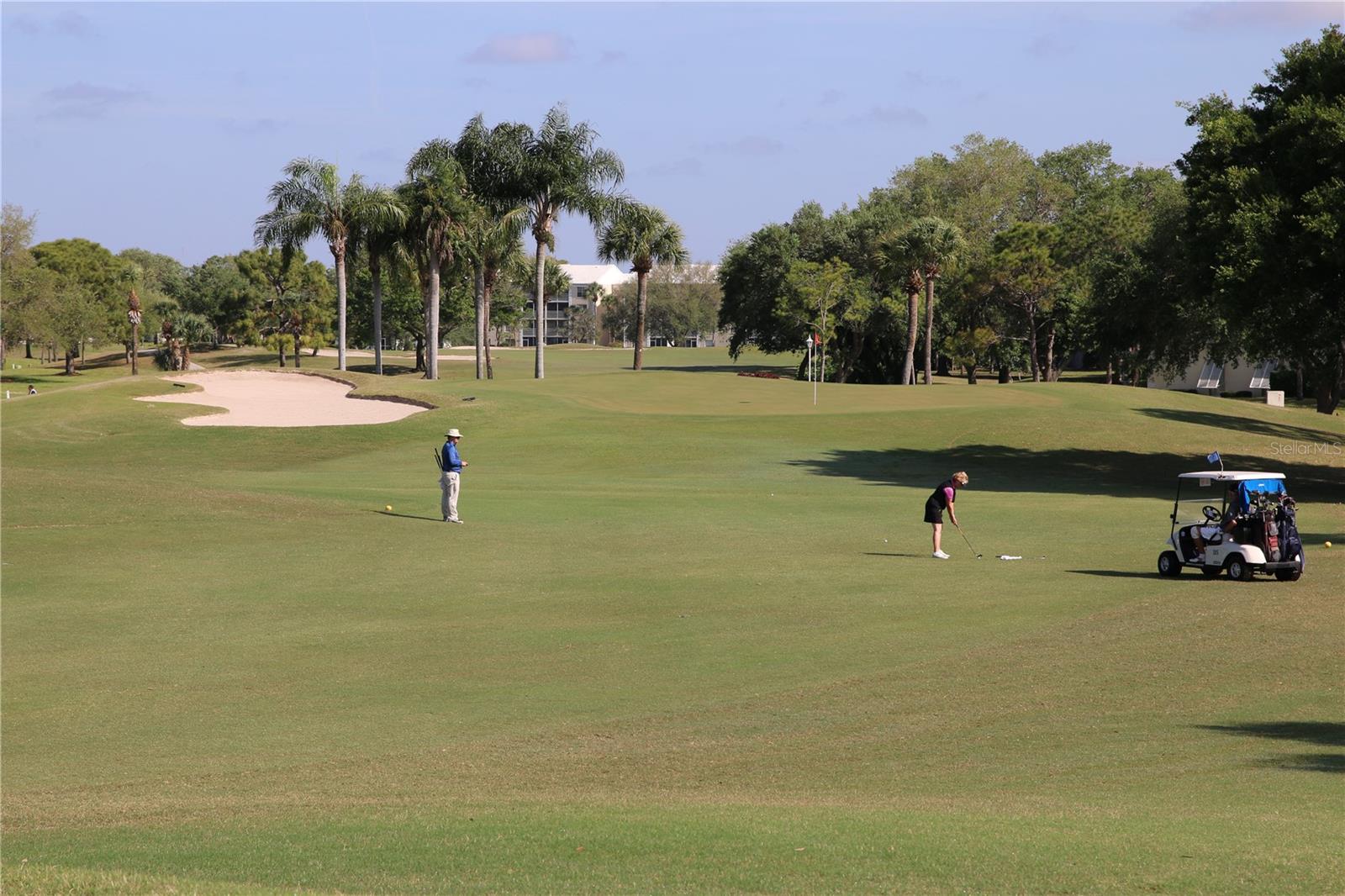 HARRINGTON LAKE - Residential