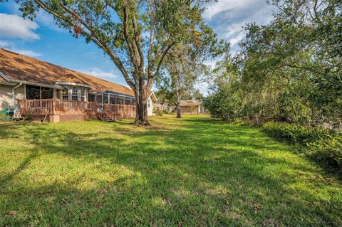 A home in TARPON SPRINGS