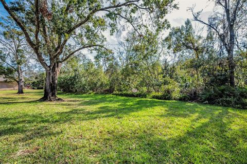 A home in TARPON SPRINGS