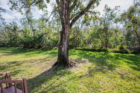 A home in TARPON SPRINGS