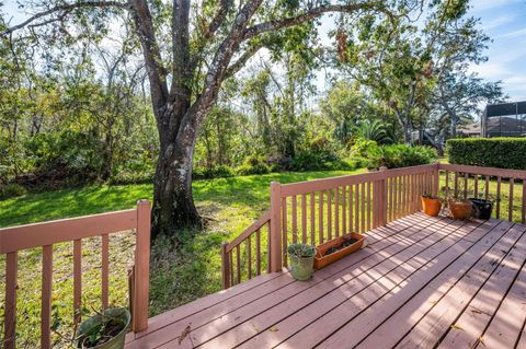 A home in TARPON SPRINGS