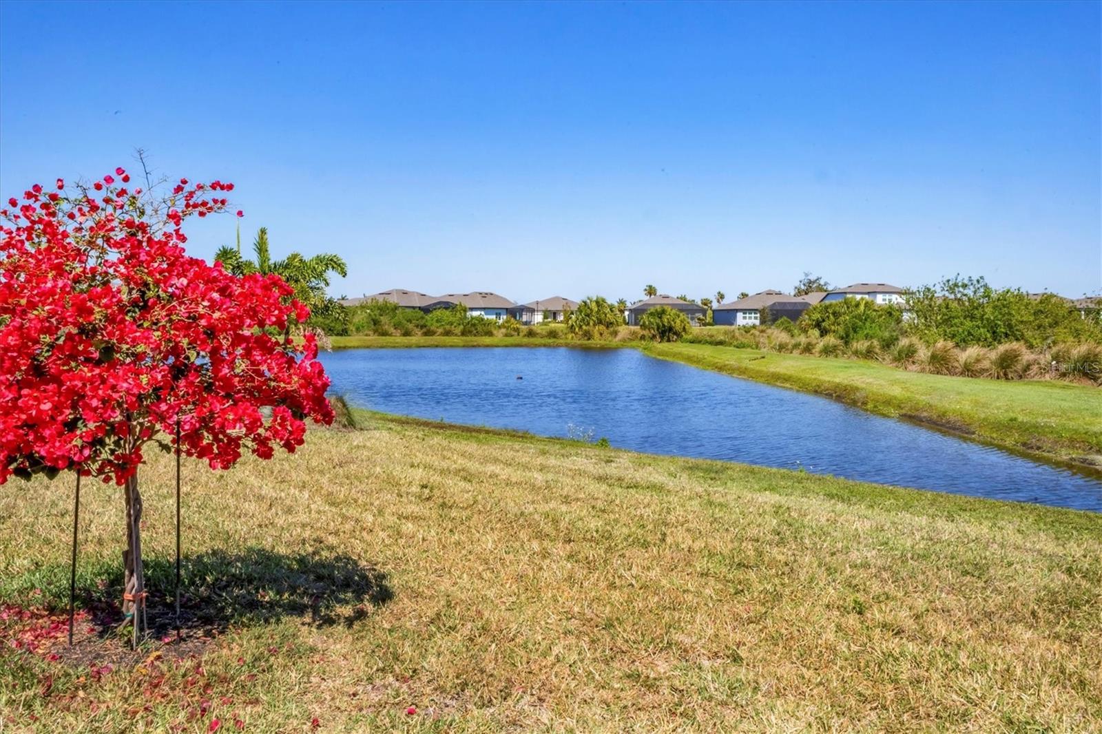 10519 SPRING TIDE WAY