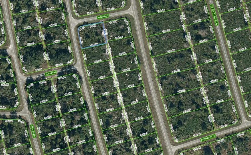 Sun N Lakes Lot - Large Corner Lot!