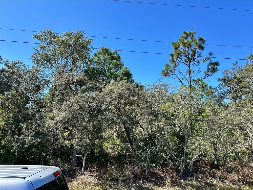 Photo of Woodstork Way, Frostproof, FL 33843 (MLS # L4957343)