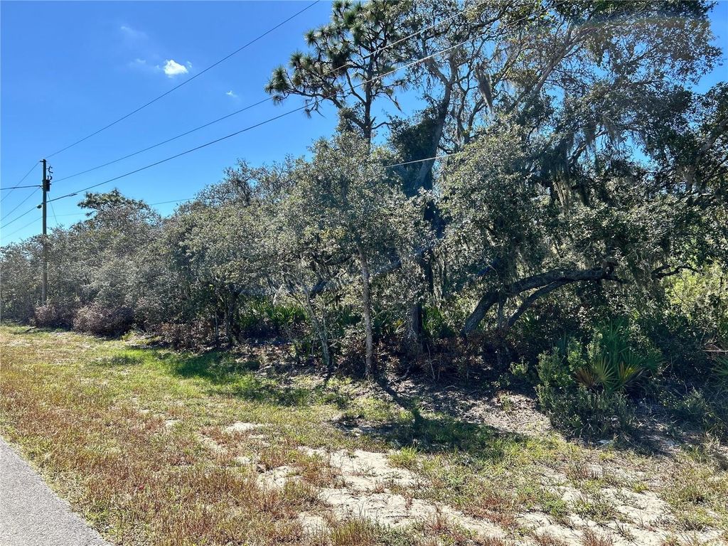 Photo of Woodstork Way, Frostproof, FL 33843 (MLS # L4957343)