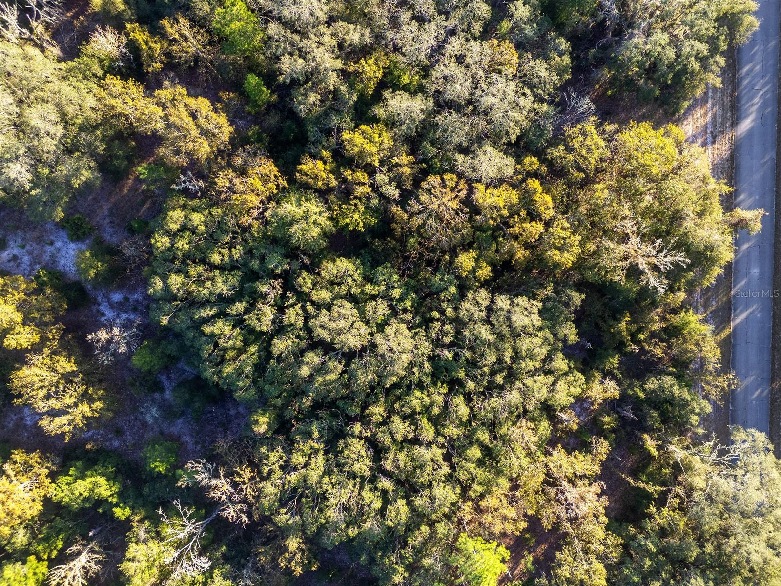 MARION OAKS UN 06 - Land