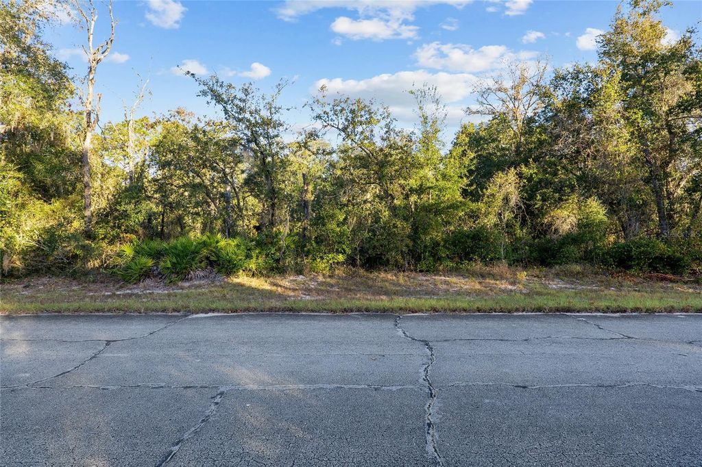 Photo of Tbd SW 174 Place, Ocala, FL 34473 (MLS # OM720795)