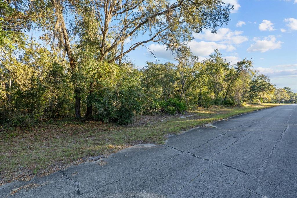 Photo of Tbd SW 174 Place, Ocala, FL 34473 (MLS # OM720795)