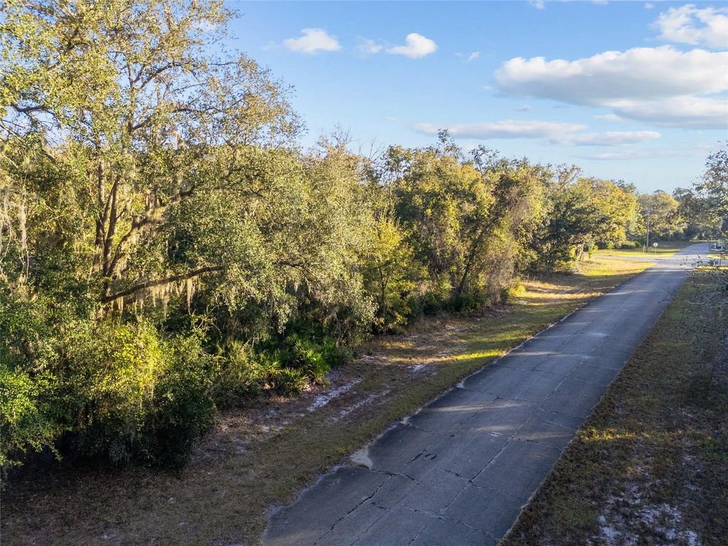Photo of Tbd SW 174 Place, Ocala, FL 34473 (MLS # OM720795)