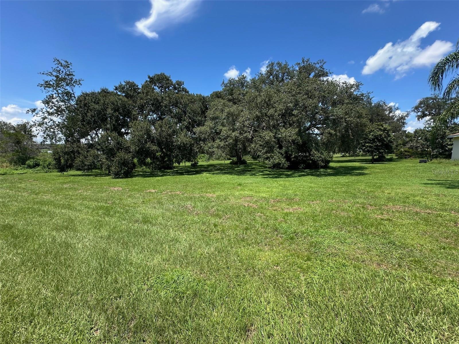 Discover the perfect opportunity to create your dream home on this beautiful 1.14-acre parcel in the desirable Pine Ridge community of Dade City. This raw piece of land offers endless possibilities, with plenty of space for a custom home, pool, or even a garden oasis.
The property is dotted with majestic oak trees, providing shade, character, and a true Florida feel. With over an acre to work with, you’ll enjoy privacy and room to spread out—all while still being close to shopping, dining, and top conveniences.
Whether you’re looking to build now or invest for the future, this land is a rare find in such a sought-after location. Don’t miss your chance to bring your vision to life in Pine Ridge!