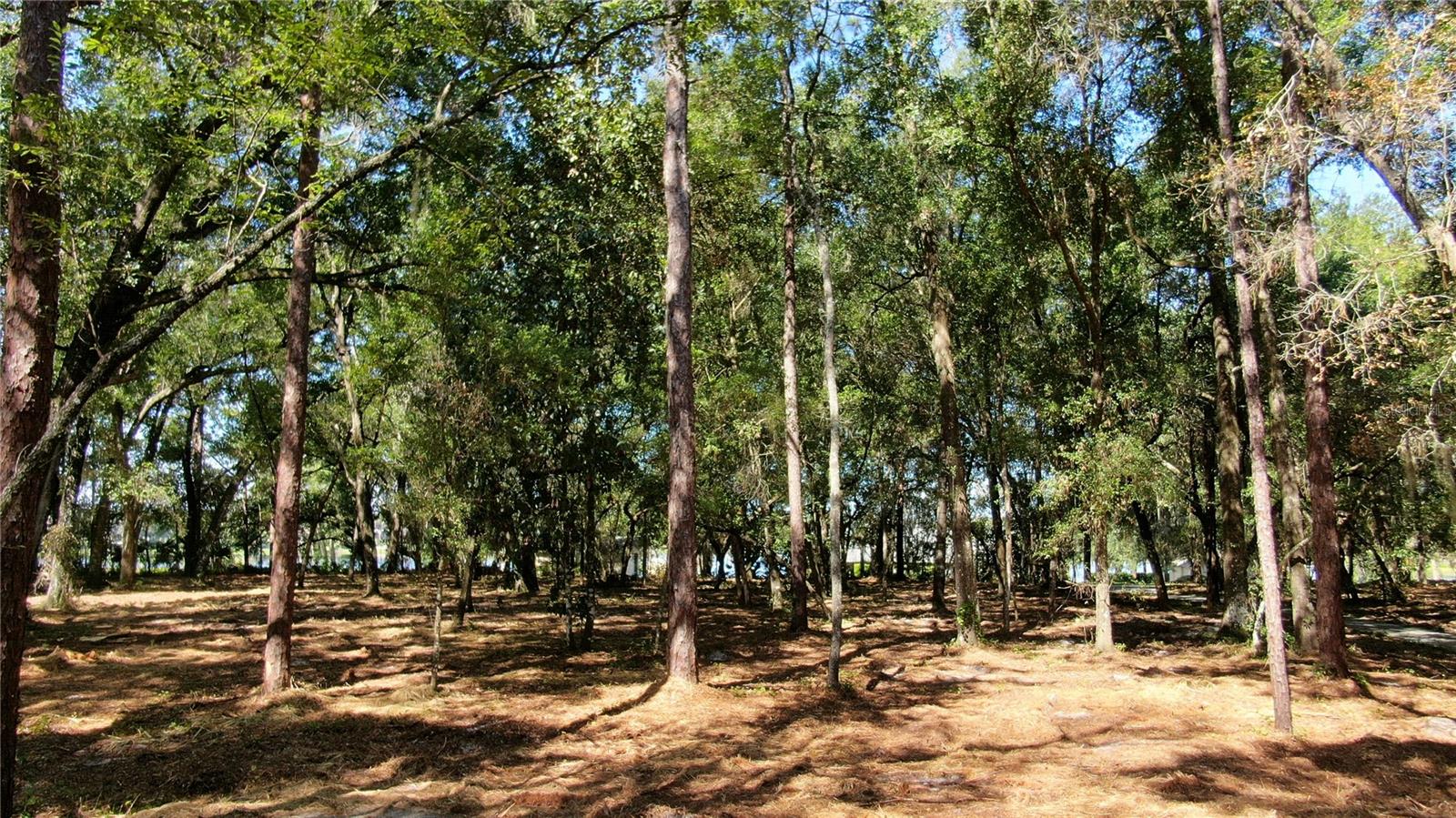 LAKE MARKHAM ROAD