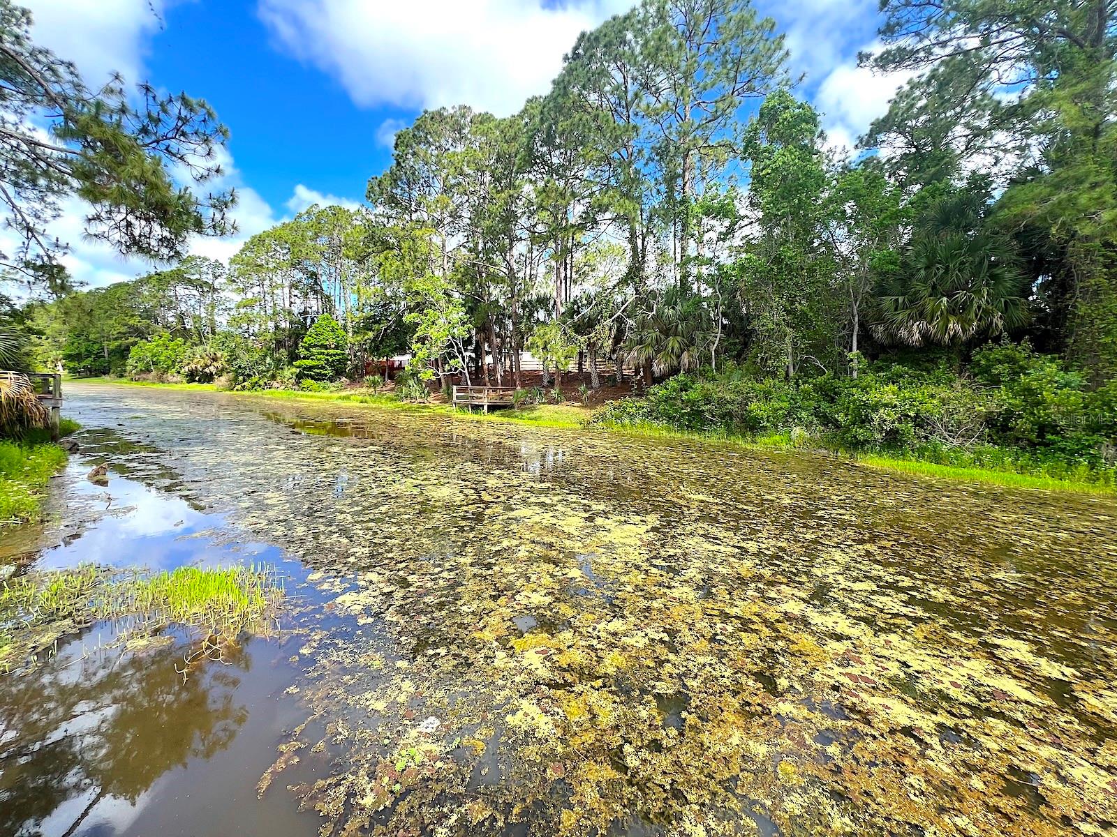 PALM COAST SEC 28 - Residential