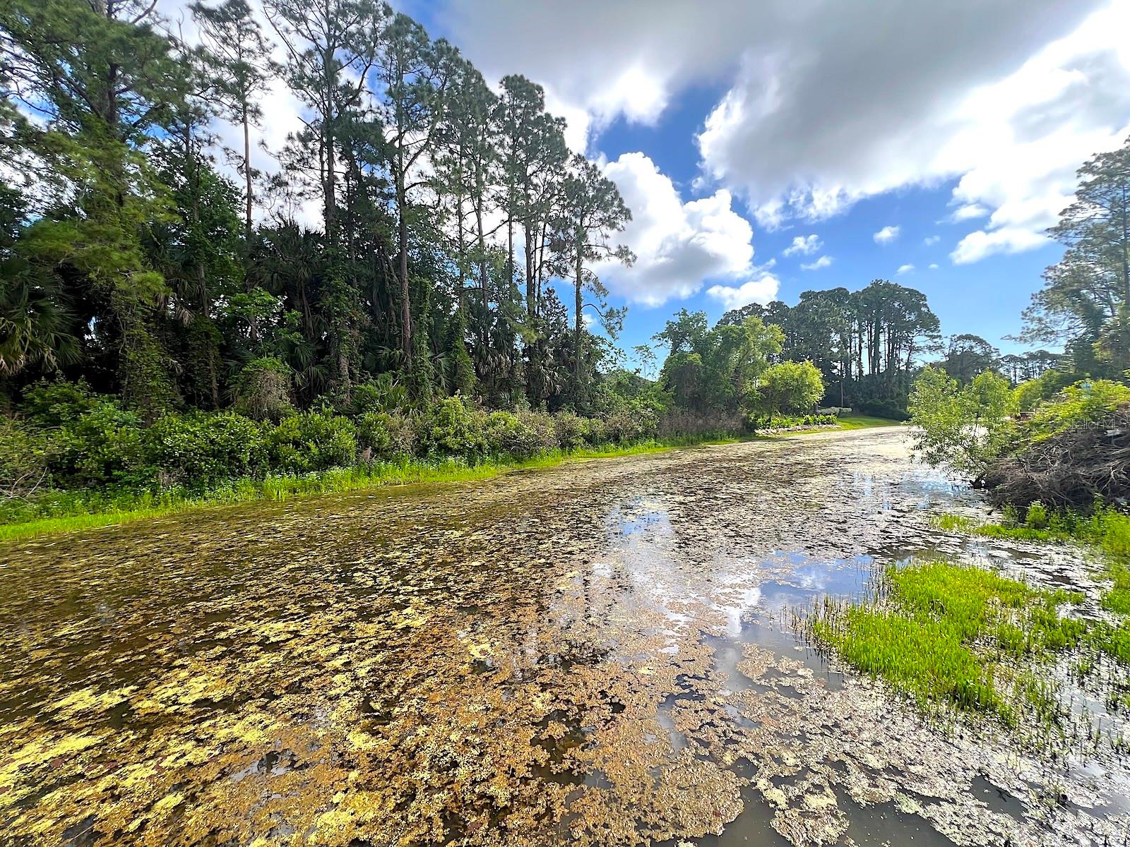 PALM COAST SEC 28 - Residential