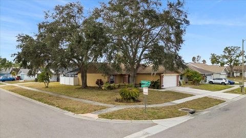 A home in TAMPA