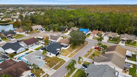 A home in TAMPA