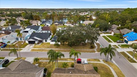 A home in TAMPA