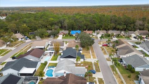 A home in TAMPA