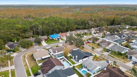 A home in TAMPA