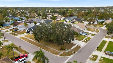 A home in TAMPA