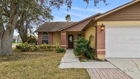 A home in TAMPA