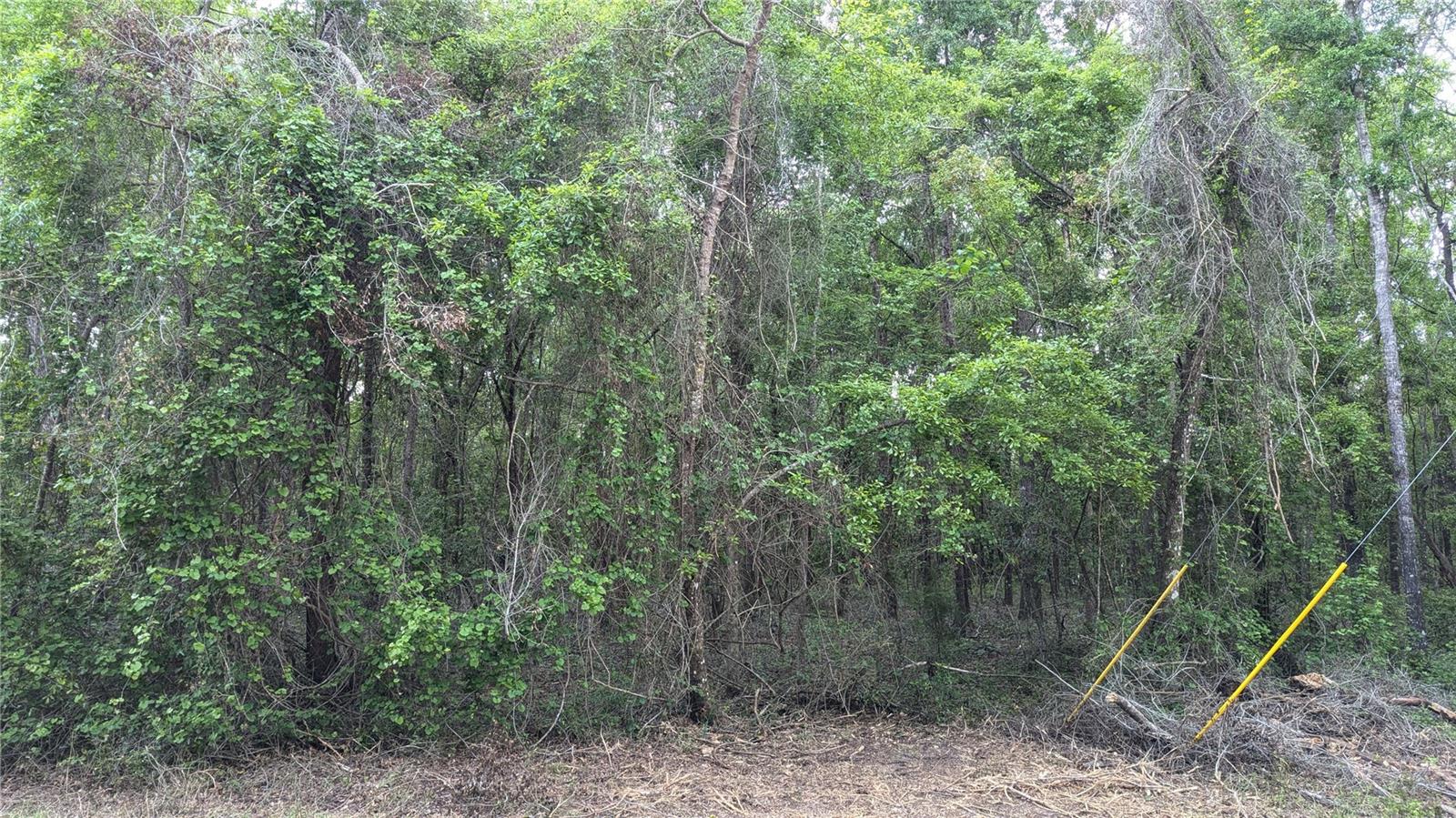 UNIT 2 LAKE IN THE WOODS SUB - Land