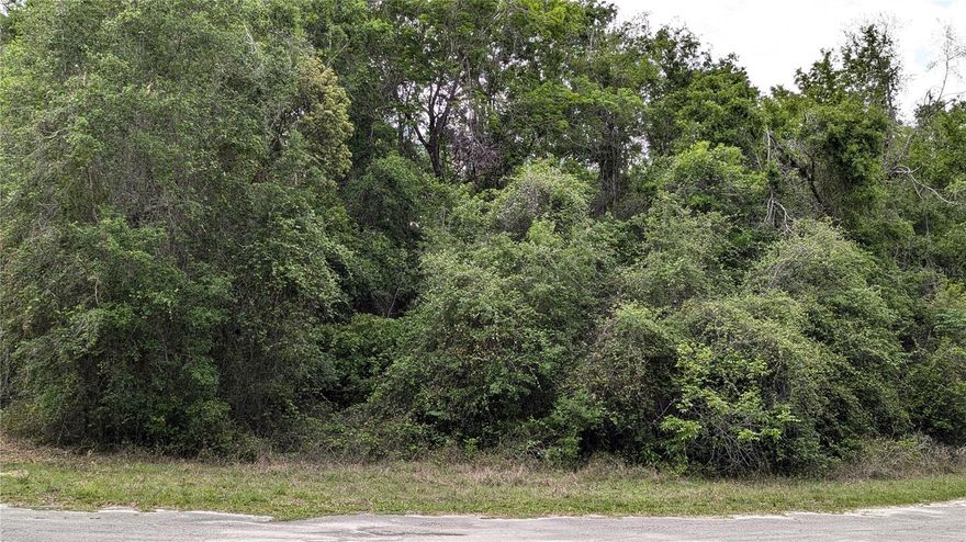 Wonderful 2-acre homesite in the Waters Lake community of Lake-In-The-Woods! This is a prime shaped lot, creating a lovely, wooded sanctuary for your new home and lifestyle. Only a short drive to Gainesville, Alachua, High Springs, and all of the best of North Central Florida. This is an opportunity you don't want to miss!