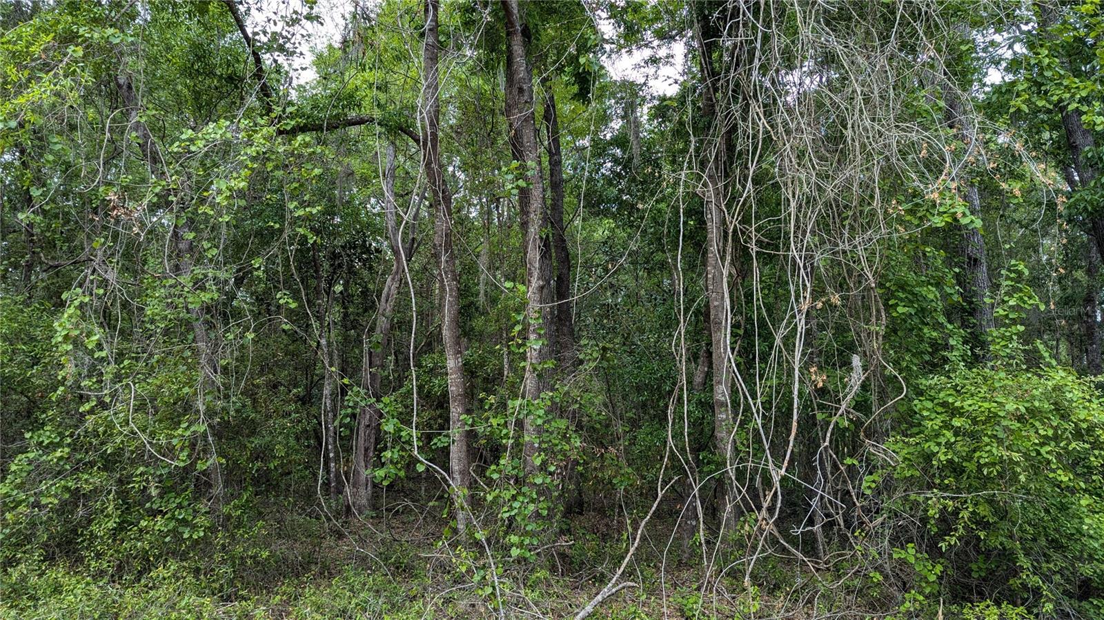 UNIT 2 LAKE IN THE WOODS SUB - Land