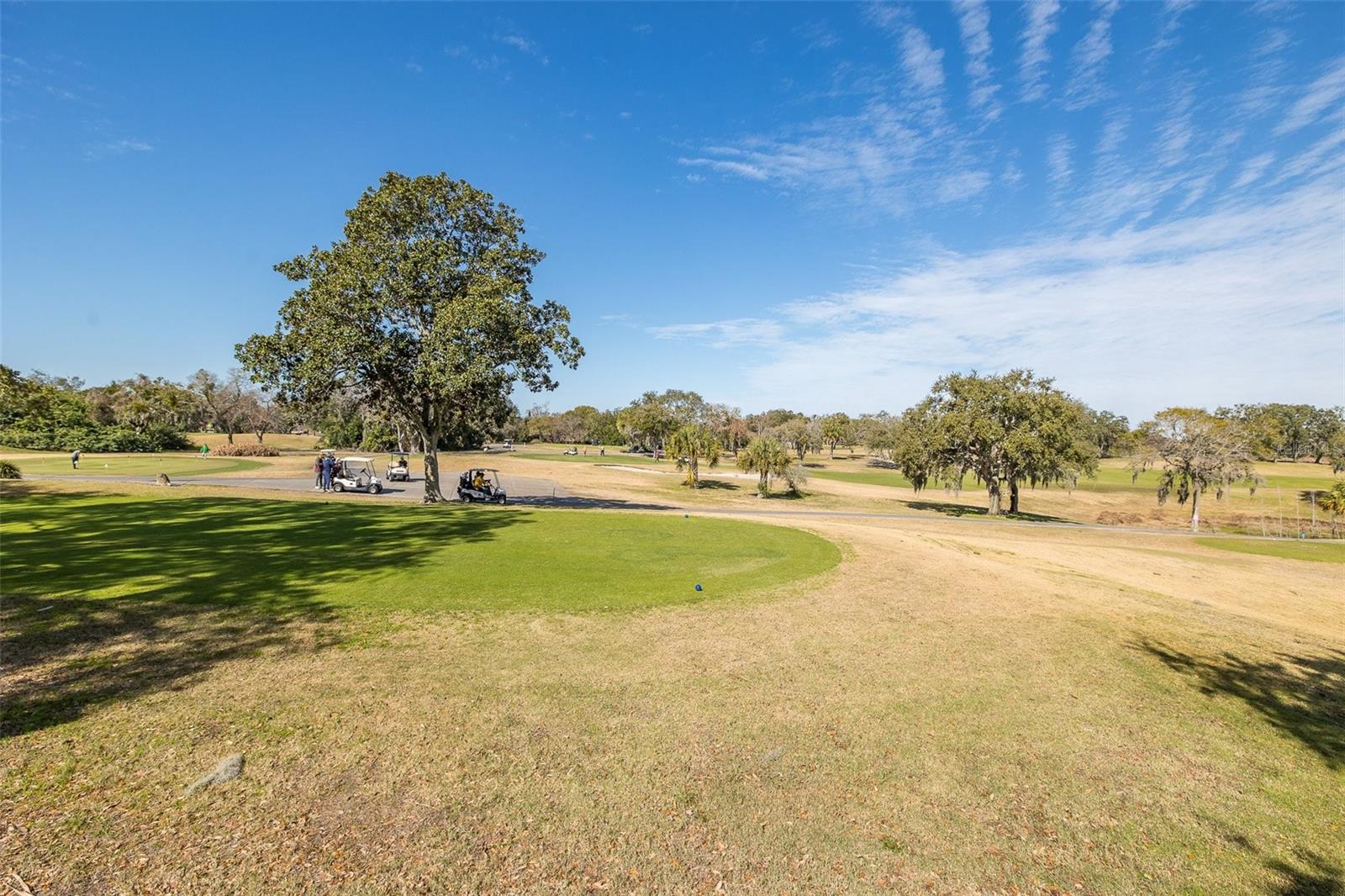 GLENWOOD VILLAGE CONDO - Residential