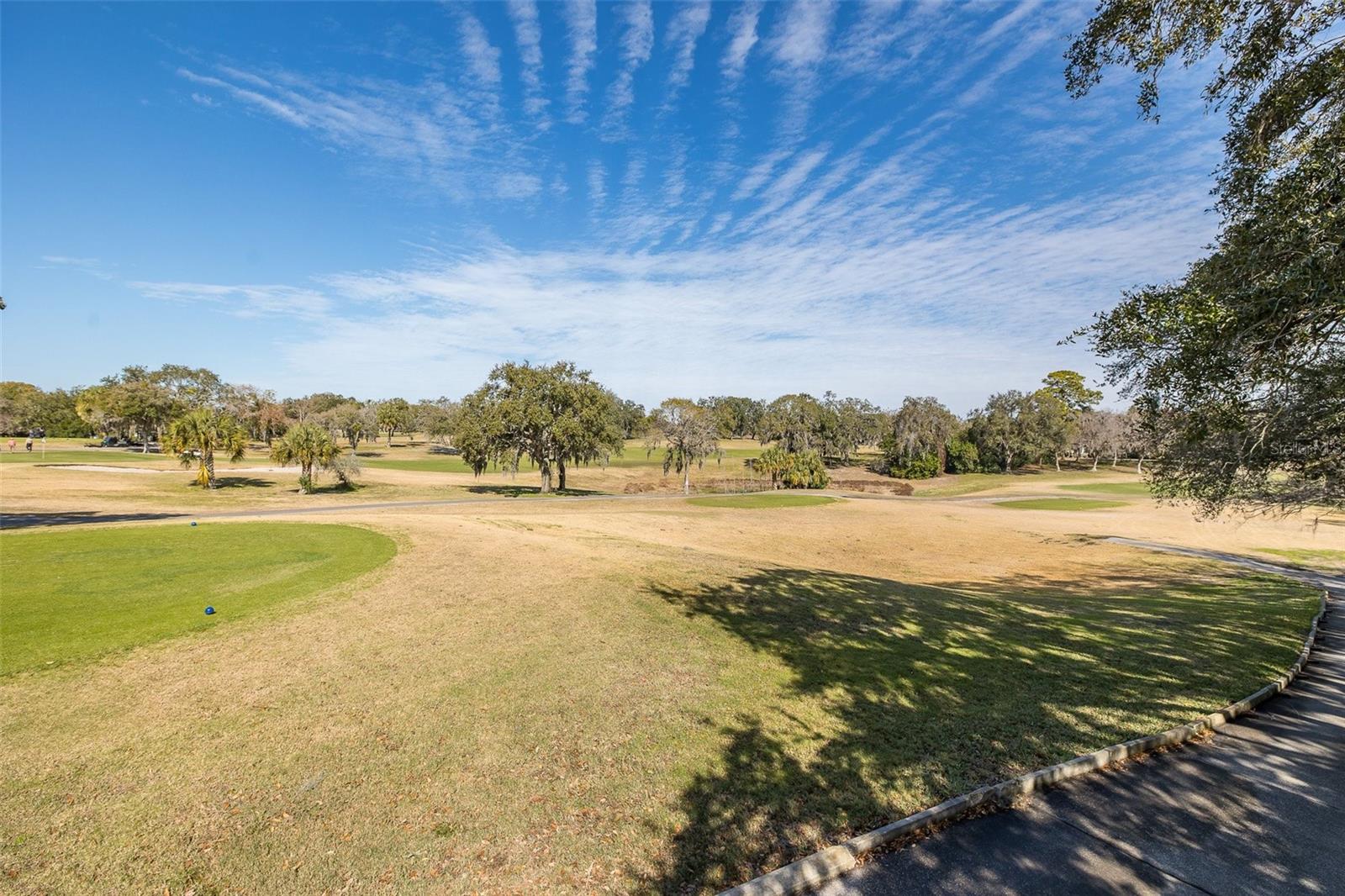 GLENWOOD VILLAGE CONDO - Residential