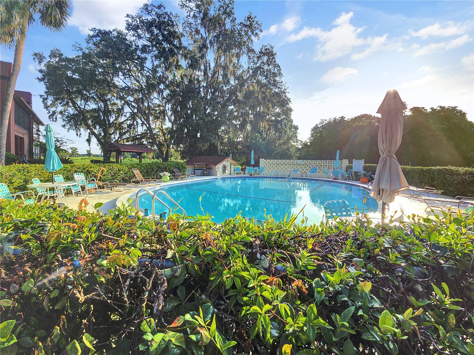 TWIN LAKES VILLAGE EAST CONDO - Residential