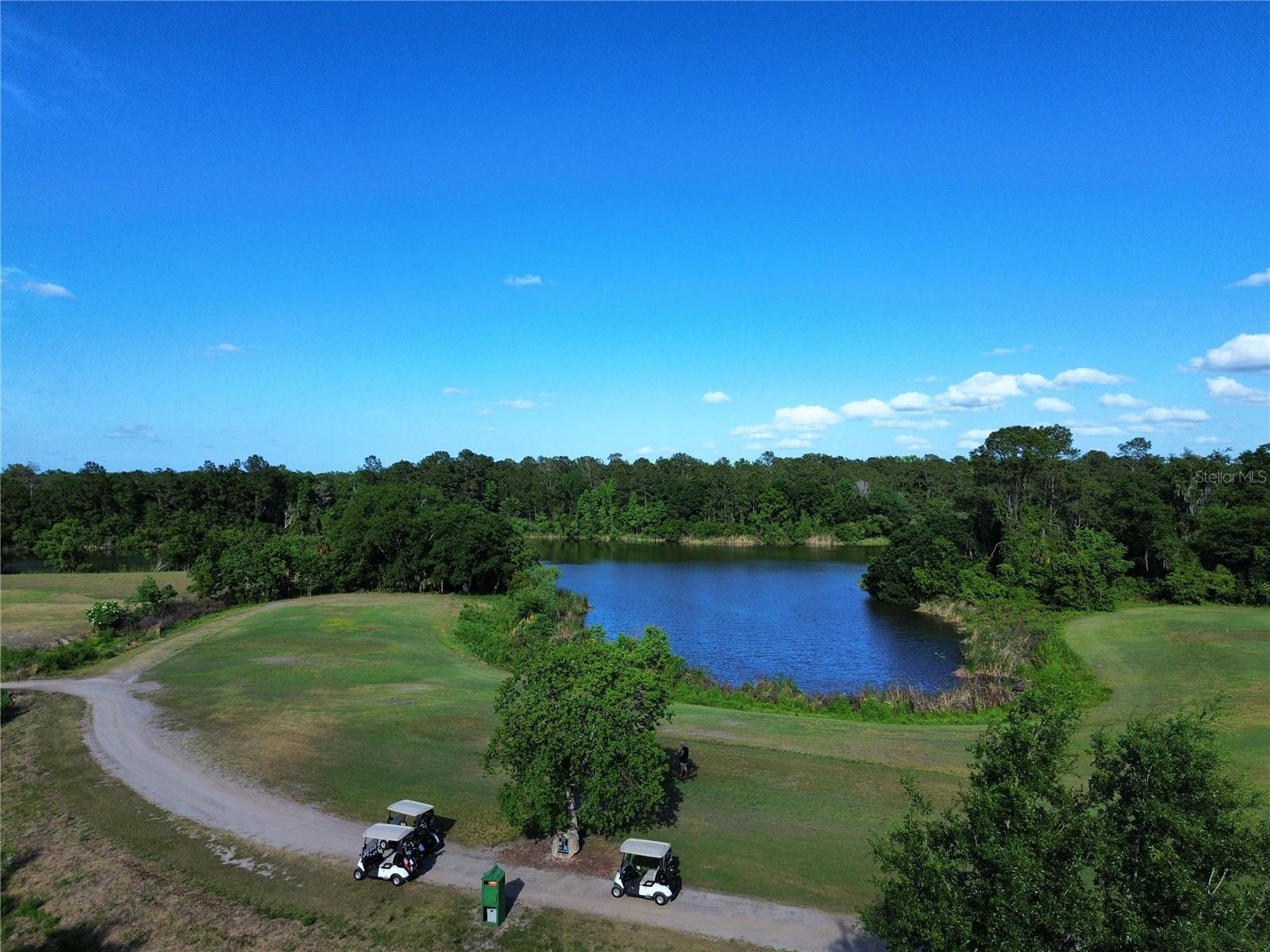 TWIN LAKES VILLAGE EAST CONDO - Residential