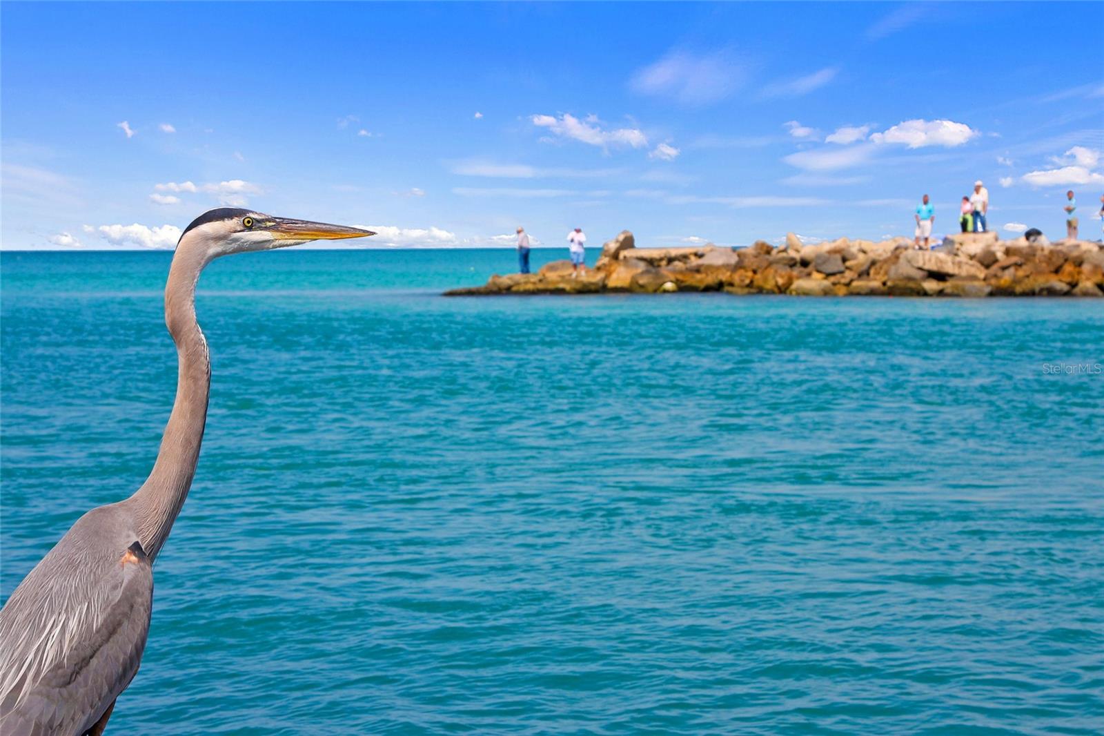 HOURGLASS LAKES PH 1 - Residential