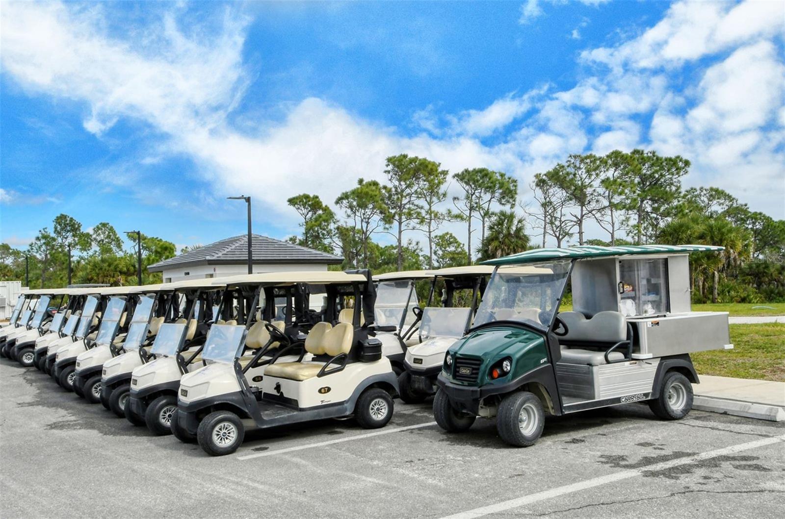 WELLEN PARK GOLF AND COUNTRY CLUB - Residential