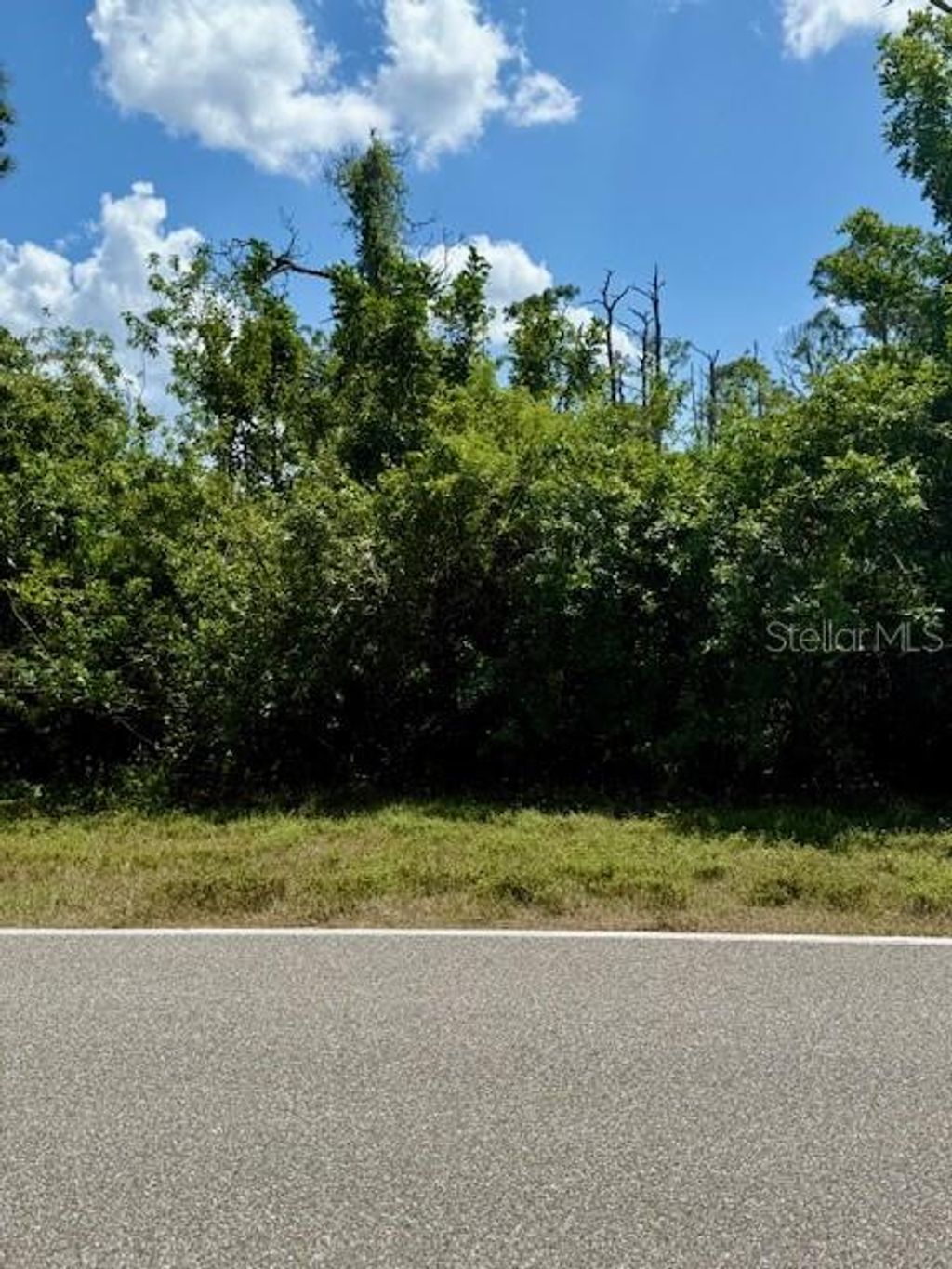 Photo of 18117 Wintergarden Avenue, Port Charlotte, FL 33948 (MLS # C7507921)