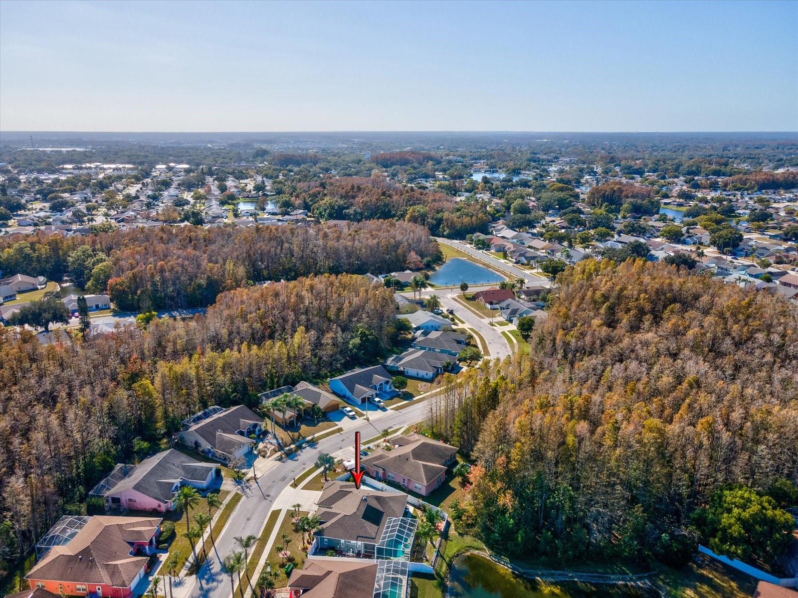 CYPRESS LAKES - Residential