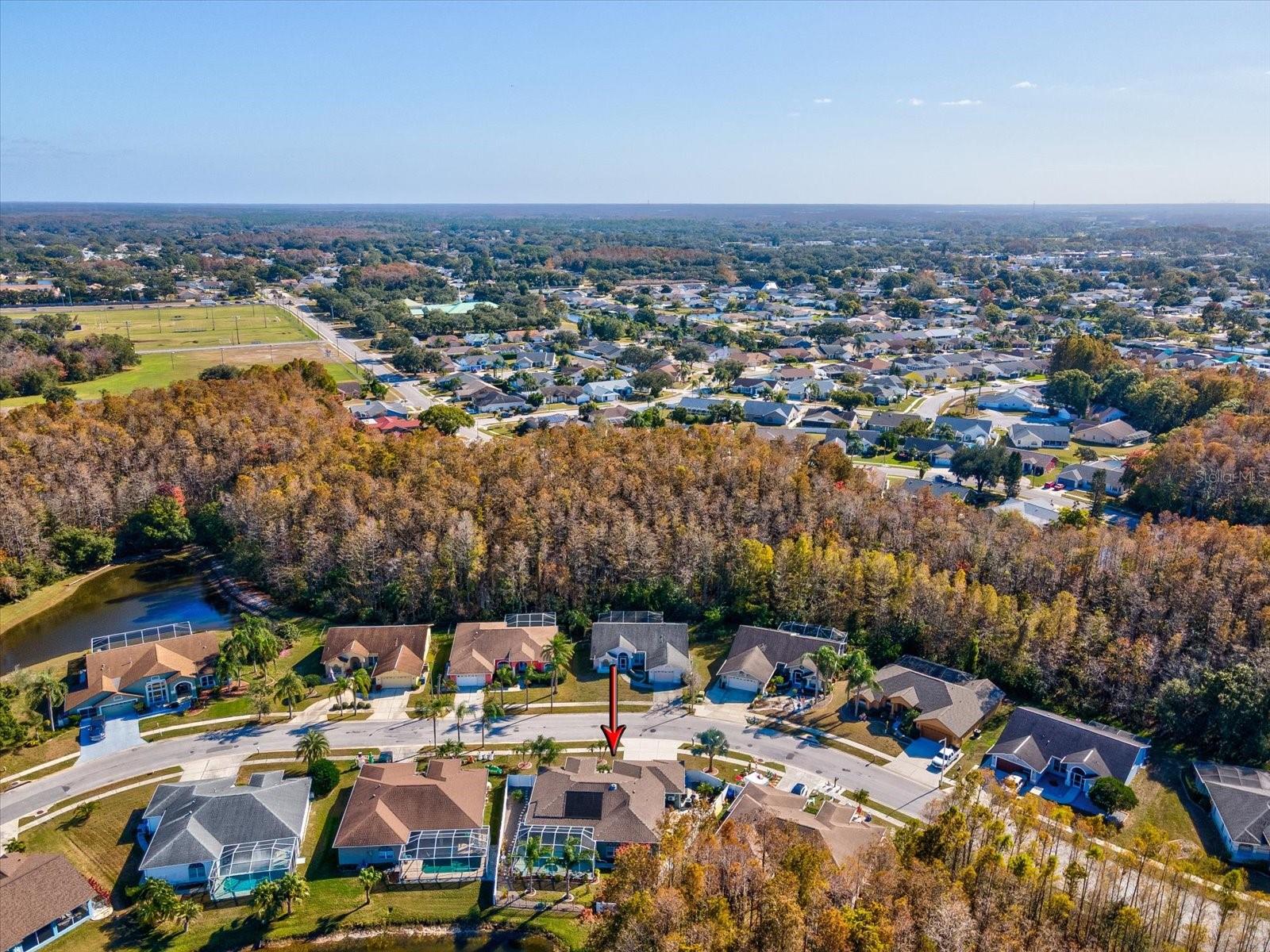 CYPRESS LAKES - Residential