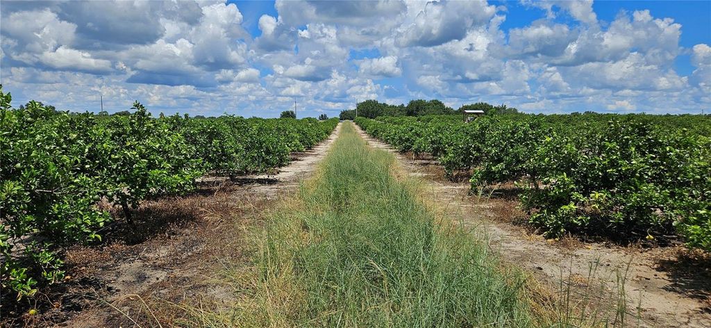 Photo of Lake Wales, FL 33898 (MLS # P4936025)