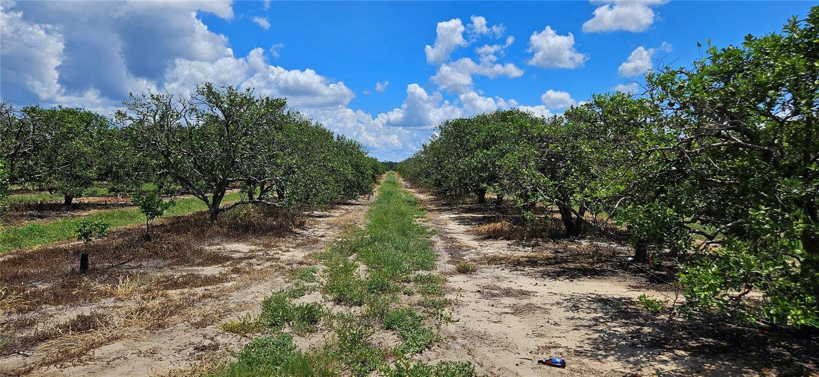 HENDRY G W SUB - Land