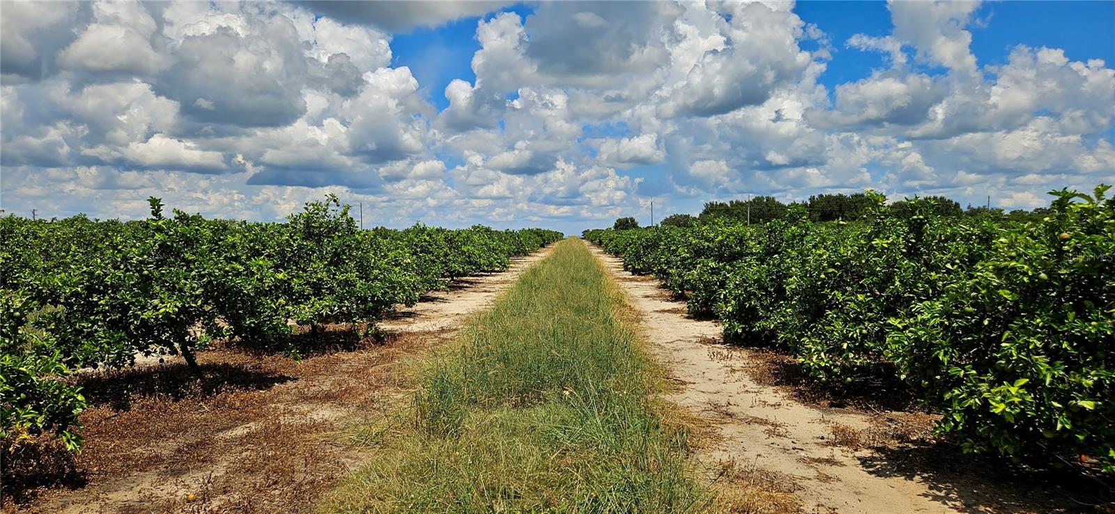 HENDRY G W SUB - Land