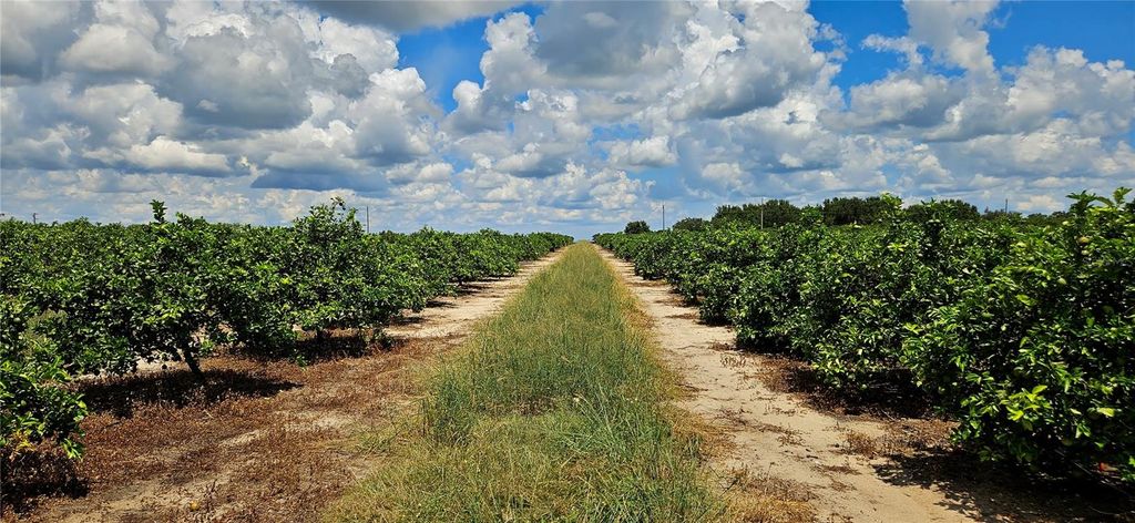 Photo of Lake Wales, FL 33898 (MLS # P4936025)