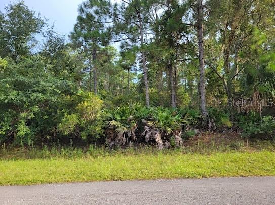 Photo of 101 Mimosa Street, Georgetown, FL 32139 (MLS # FC322328)