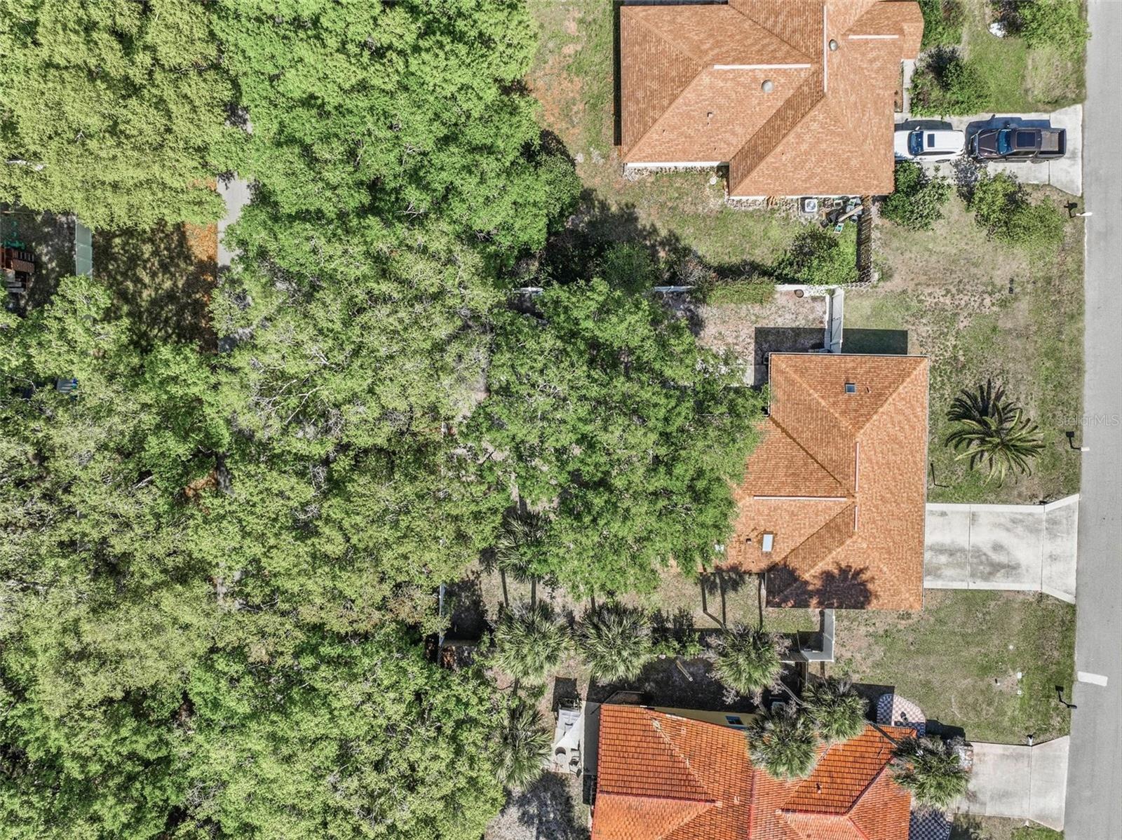 PALM COAST/BERNARD MDWS SEC 81 - Residential