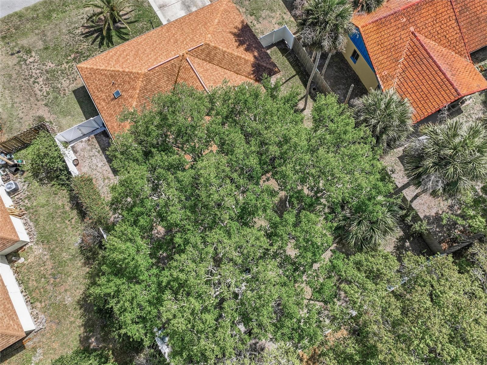 PALM COAST/BERNARD MDWS SEC 81 - Residential