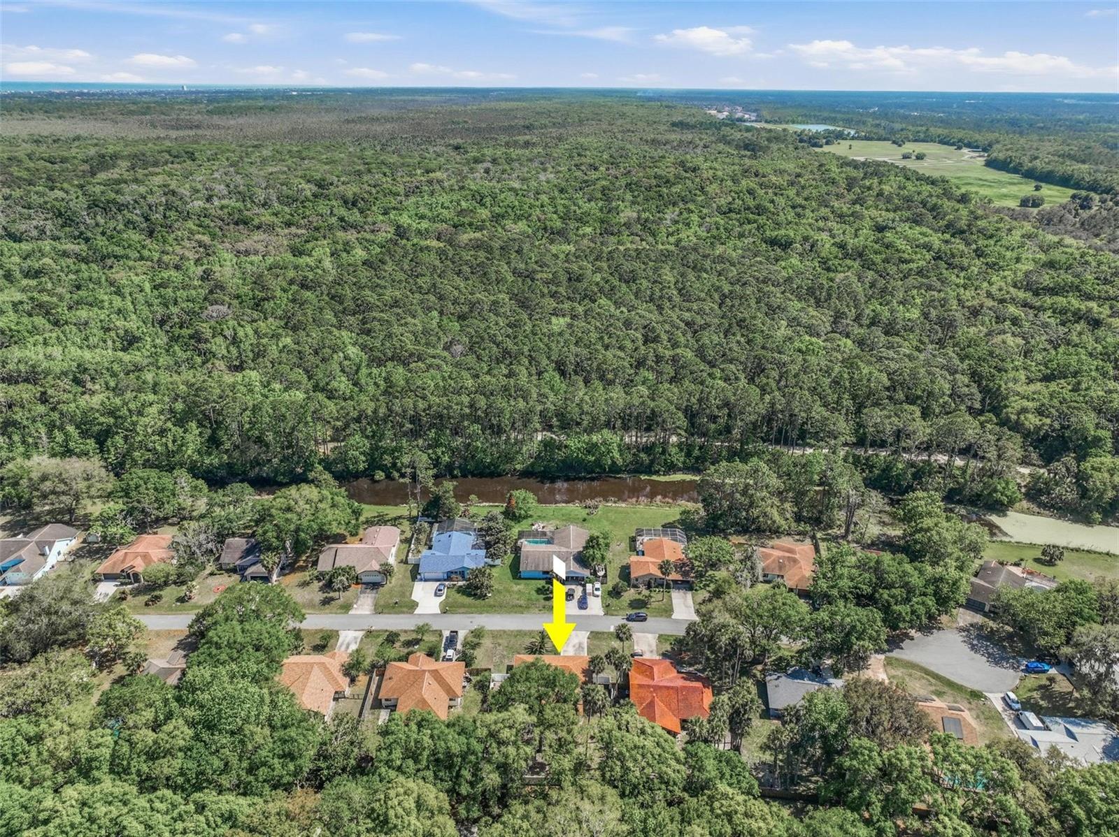 PALM COAST/BERNARD MDWS SEC 81 - Residential